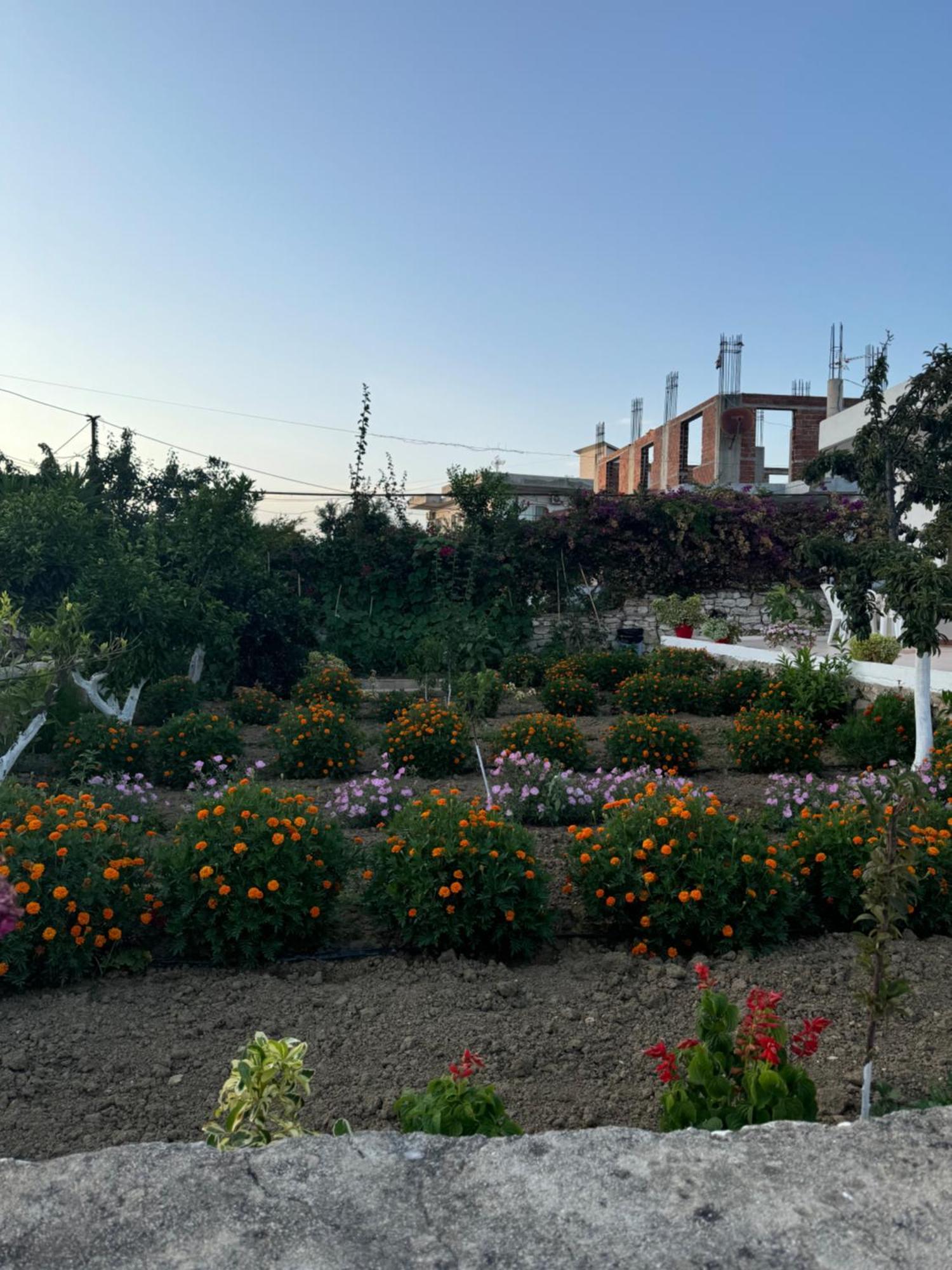Teo Apartment Saranda Dış mekan fotoğraf